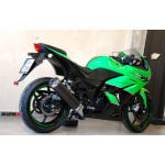 Kawasaki Ninja 250R - hezký stav, ŘP sk. A2