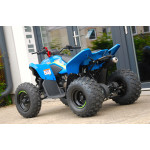 CFMOTO X110LE