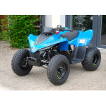 CFMOTO X110LE