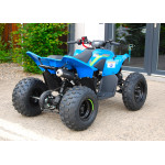 CFMOTO X110LE