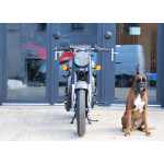 Royal Enfield Classic 350 GREY