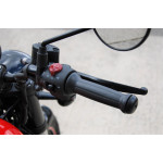 Royal Enfield Meteor 350 RED