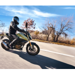 Morbidelli N 300