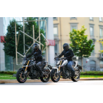 Morbidelli M 502N