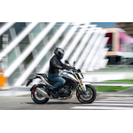 Morbidelli M 502N