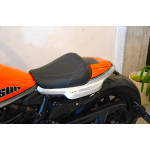 Harley-Davidson RH 1250S Sportster S - krásný stav,5555 km
