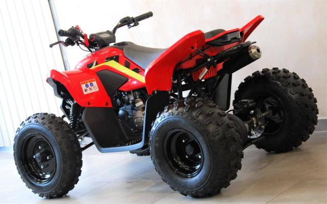 CFmoto Gladiator X110