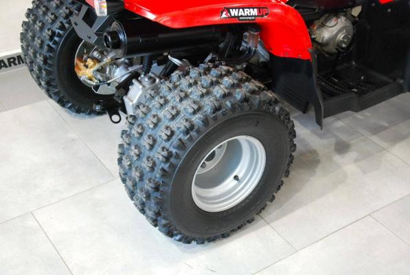 Polaris Phoenix 200
