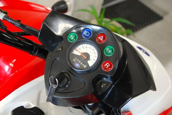 Polaris Phoenix 200