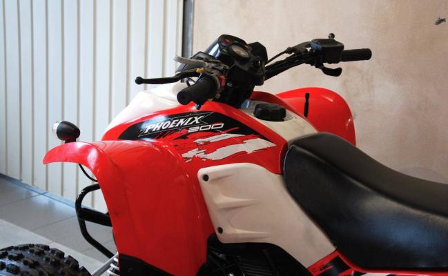 Polaris Phoenix 200
