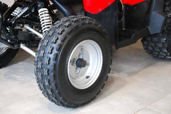 Polaris Phoenix 200