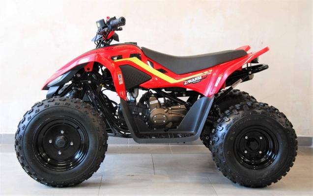 CFmoto Gladiator X110