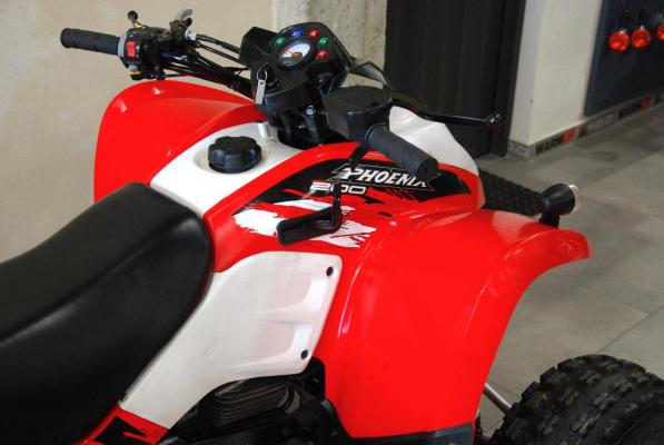 Polaris Phoenix 200
