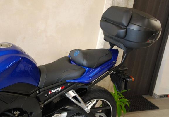 Yamaha FZ 1 Fazer