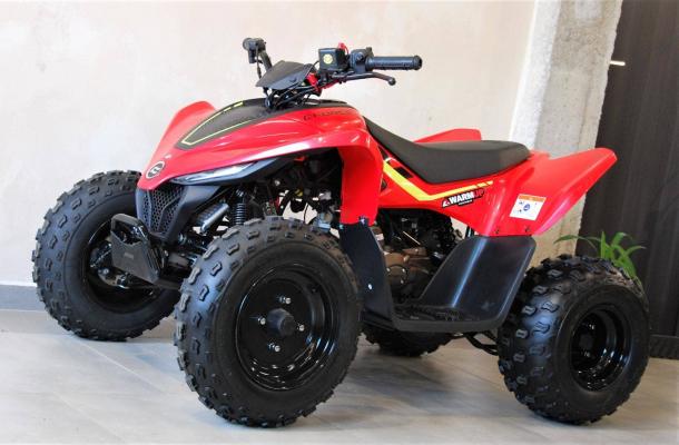 CFmoto Gladiator X110