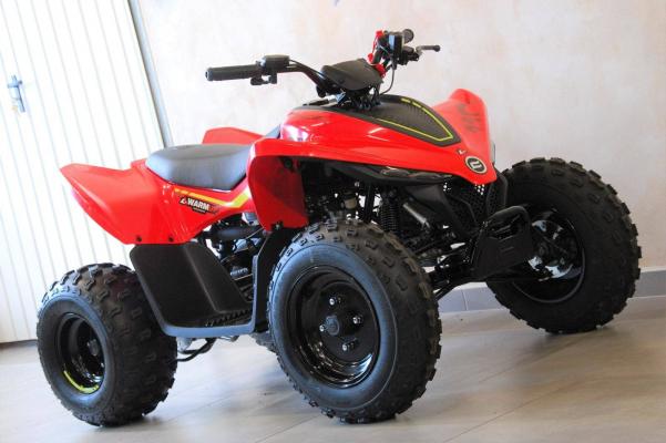 CFmoto Gladiator X110