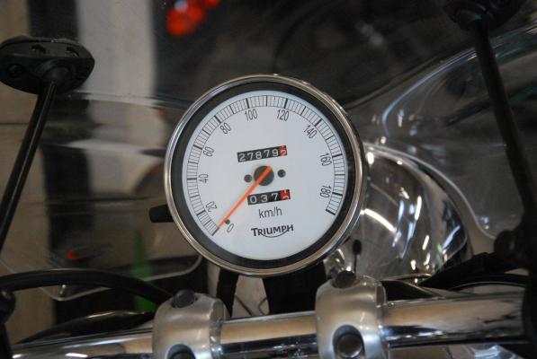 Triumph America