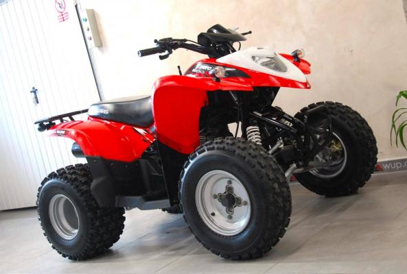 Polaris Phoenix 200