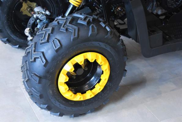 Buffler XW 200 T