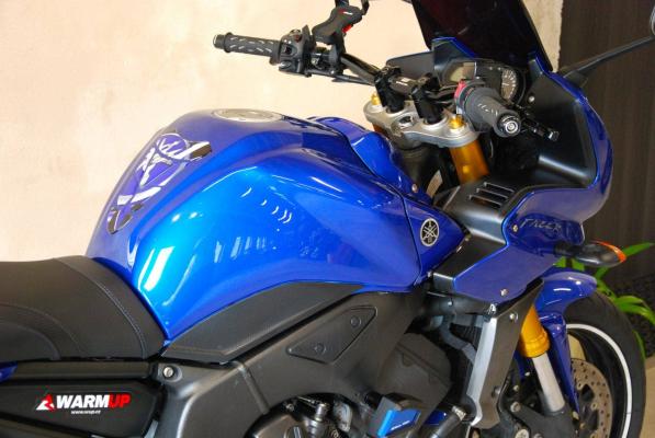 Yamaha FZ 1 Fazer
