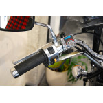 Kawasaki VN 800 Classic