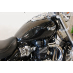 Triumph America - VÝPRODEJ, hezký stav, krásný zvuk