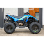 CFMOTO X110LE