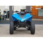 CFMOTO X110LE