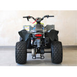 Polaris Outlaw 110 EFI