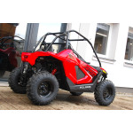 Polaris RZR 200