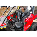Polaris RZR 200