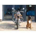 Royal Enfield Classic 350 BROWN
