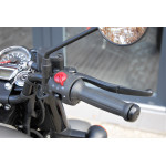 Royal Enfield Classic 350 GREY