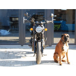 Royal Enfield HNTR 350