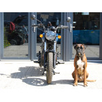 Royal Enfield 350 Meteor BLUE