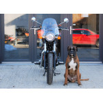 Royal Enfield 350 Meteor BROWN