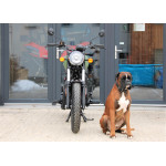 Royal Enfield 350 Meteor GREEN