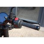 Royal Enfield Guerrilla 450 GOLD DIP