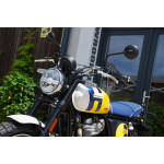 Royal Enfield Bear 650