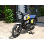 Royal Enfield Bear 650 WILD HONEY