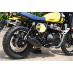 Royal Enfield Bear 650 WILD HONEY