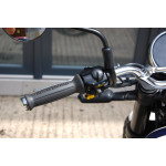 Royal Enfield Bear 650 WILD HONEY