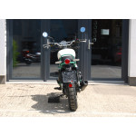 Royal Enfield Bear 650 TWO FOUR NINE