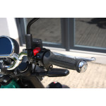 Royal Enfield Bear 650 TWO FOUR NINE