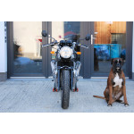 Royal Enfield Continental GT 650 Twin WHITE