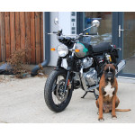 Royal Enfield Interceptor 650 Twin