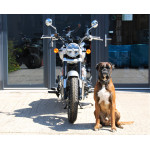 Royal Enfield Super Meteor 650 INTERSTELLAR BLACK