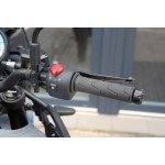 Royal Enfield Himalayan 450