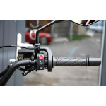 CFMOTO 250 Dual Sport